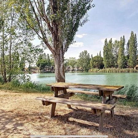 Appart Dans Residence Avec Piscine A Arles Eksteriør billede